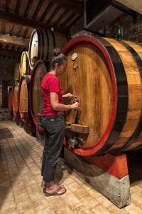 standard minimi dell'accoglienza in cantina- Casato Prime Donne- Montalcino