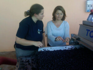 Valerie Lavigne e la nostra Barbara Magnani - Vendemmia 2010 - Donatella Cinelli Colombini Valerie Lavigne e la nostra Barbara Magnani - Vendemmia 2010 - Donatella Cinelli Colombini