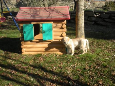 Felix nel parco giochi della Fattoria del Colle