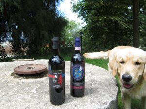 Brunello Riserva 2005 Orcia Doc Leone Rosso 2007 con Felix
