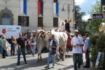 La valle del gigante bianco La valle del gigante bianco
