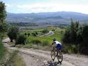 Granfondo del Brunello Granfondo del Brunello