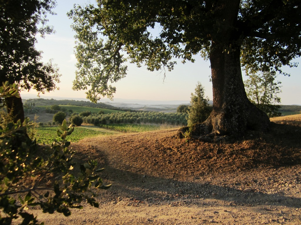 mattino a Colle Piccino