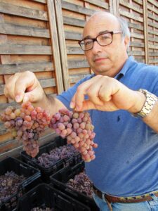 Carlo con l'uva di Traminer Carlo con l'uva di Traminer