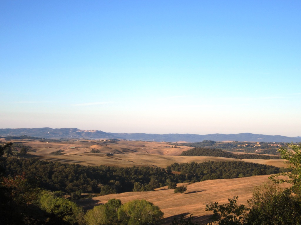 Montalcino visto dalla fattoria del Colle