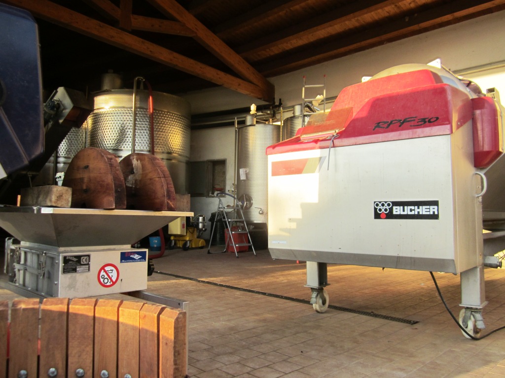 Svinatura alla Fattoria del Colle