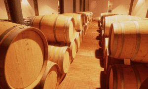 Cantina Costa degli Etruschi Cantina Costa degli Etruschi