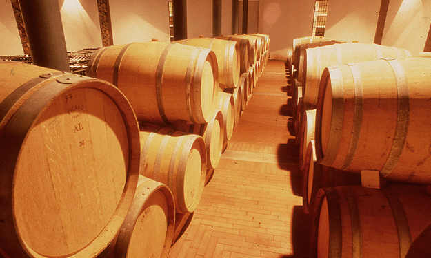 Cantina Costa degli Etruschi