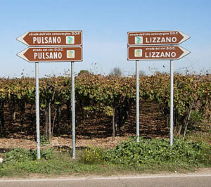segnali delle cantine