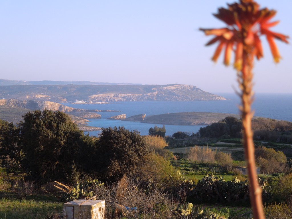 Malta - Gozo - Qala - panorama dal balcone di casa