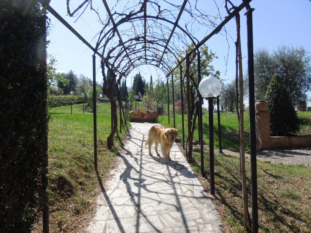 Fattoria del Colle -ingresso del parco delle piscine