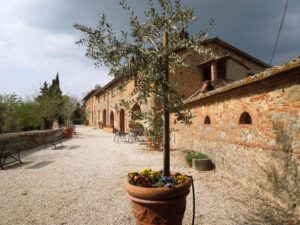 Fattoria del Colle - primi fiori di primavera