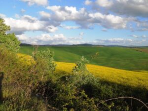 Val d'Orcia-panorama da SanGiovanniD'Asso-20Aprile21012