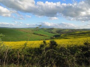 Val'Orcia vista da San Giovanni d'Asso-20aprile 2012