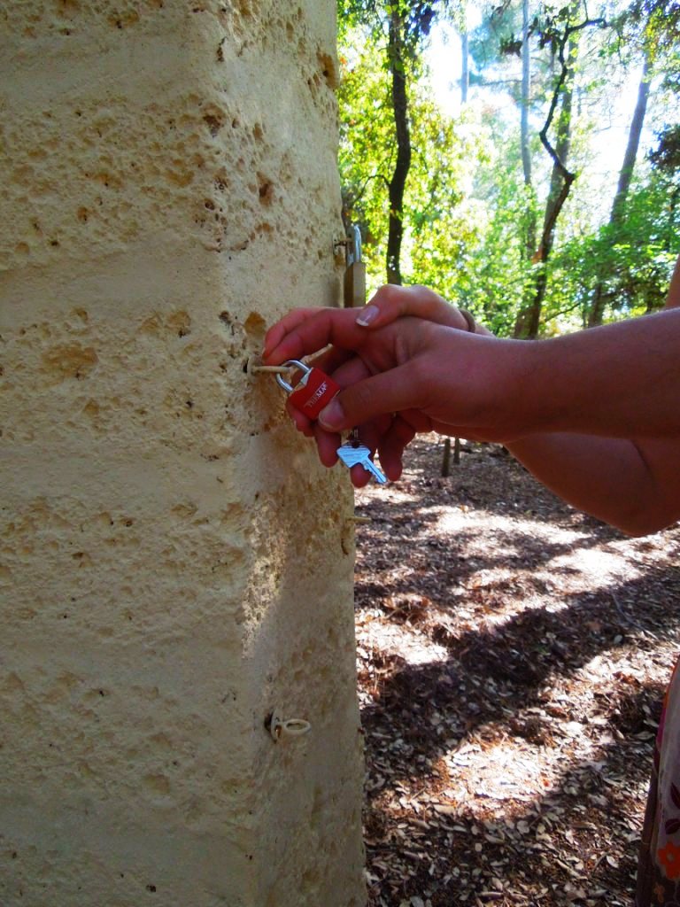 Bocca della Verità-albero della vanità