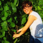 Brunello Sangiovese-Sara