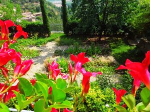 Wine-News orto didattico