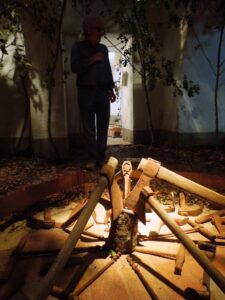 Woods-Annibale-Parisi-ci porta-nel-bosco