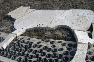 Montalcino-Casato-Prime-Donne-Ardita distesa 1