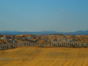Terre_di_Siena_Asciano_estate_21012