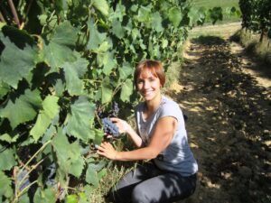 Bonella and Sangiovese grapes
