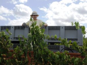 Brunello_Montalcino_CasatoPrimeDonne_vendemmia2012