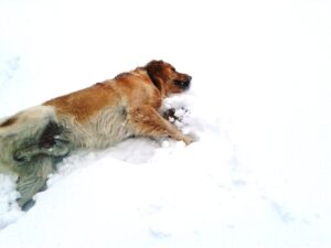 Fattoria del Colle - agriturismo in Toscana - Felix nella neve