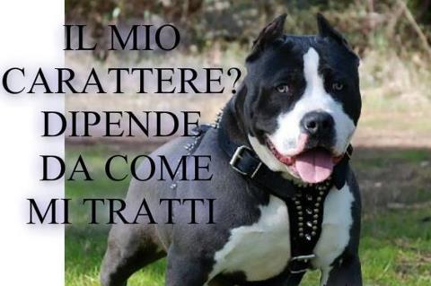 il mio carattere