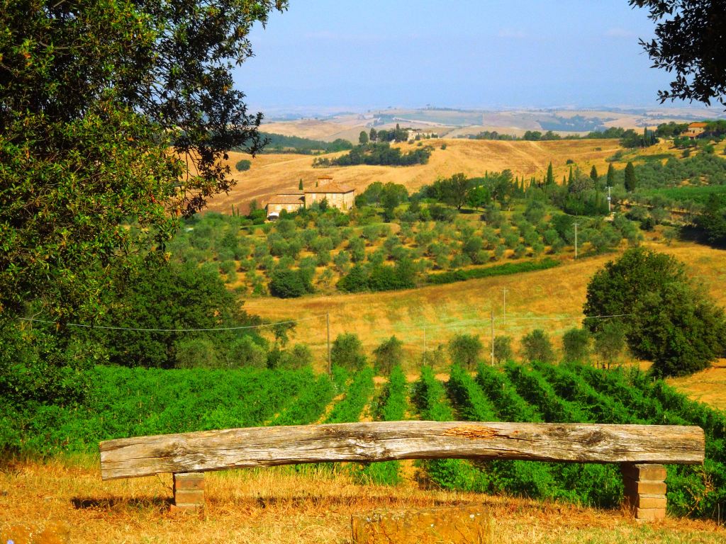 Chiati-DocOrcia-Fattoria DelColle