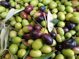  Olives 2012 Fattoria Del Colle