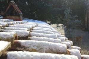 tetti_imbiancati_e_Felix