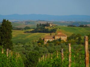 Panorama dalla Fattoria del Colle