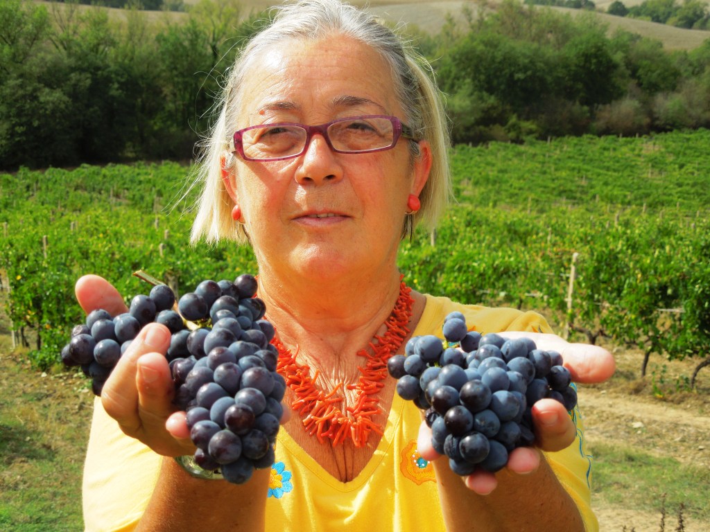 sangiovese per il Brunello
