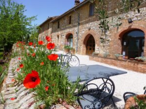 Toscana primavera 2013 Fattoria del Colle