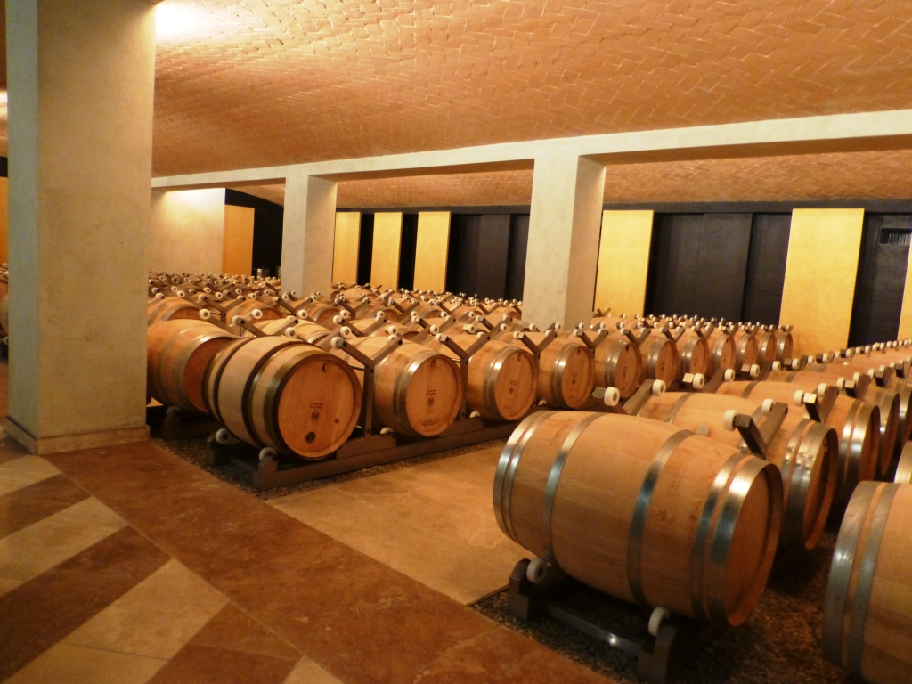 Agricola Forte barricaia