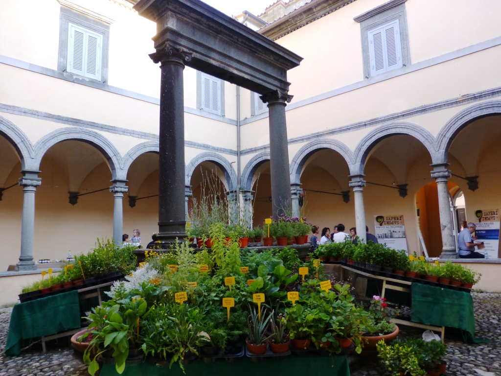 Orvieto Palazzo del Gusto ortaggi