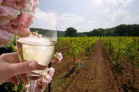 biological wine production