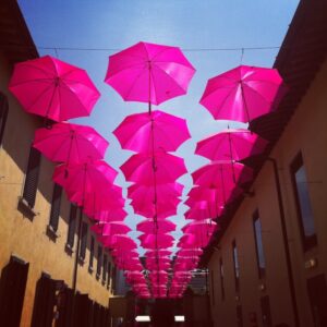 pittiuomo - il cielo si tinge di rosa pittiuomo - il cielo si tinge di rosa