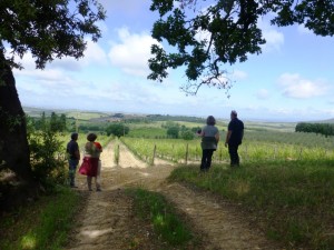 Fattoria del Colle winery - June 2013