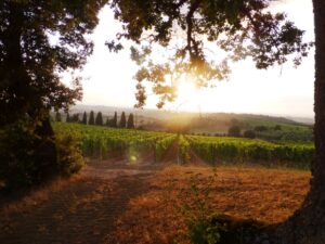 tramonto Fattoria del Colle Doc Orcia tramonto Fattoria del Colle Doc Orcia