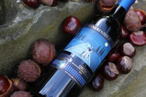 Cenerentola 2010 e castagne 2