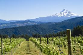 Willamette Valley, Oregon Willamette Valley, Oregon