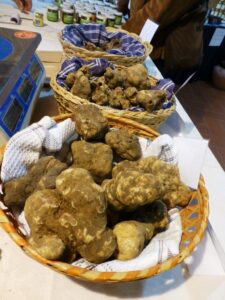 tartufo bianco delle Crete Senesi tartufo bianco delle Crete Senesi