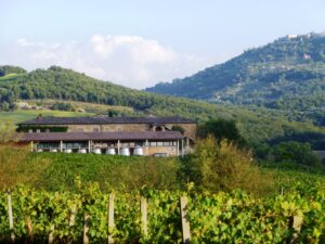 Casato Prime Donne e vista di Montalcino