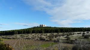 Castel del Monte vigneti Castel del Monte vigneti