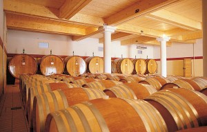 Podere-Brizio Podere-Brizio