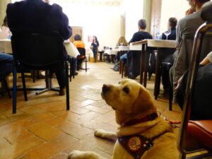 Orcia Wine Festival degustazione al buio Alessandra Ruggi cane guida per ciechi Orcia Wine Festival degustazione al buio Alessandra Ruggi cane guida per ciechi
