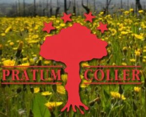 Pratum Coller