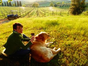 Montalcino Casato Prime Donne Cantine Aperte