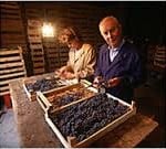 Giuseppe Quintarelli Amarone